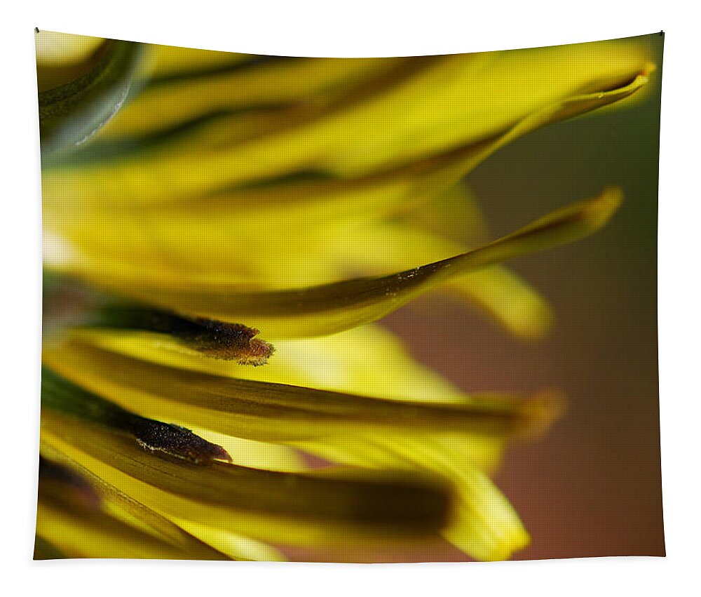 Dandelion Tapestry featuring the photograph Just Dandy by Wendy Wilton