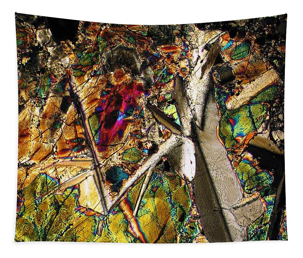 Meteorites Tapestry featuring the photograph Jungle Dusk by Hodges Jeffery
