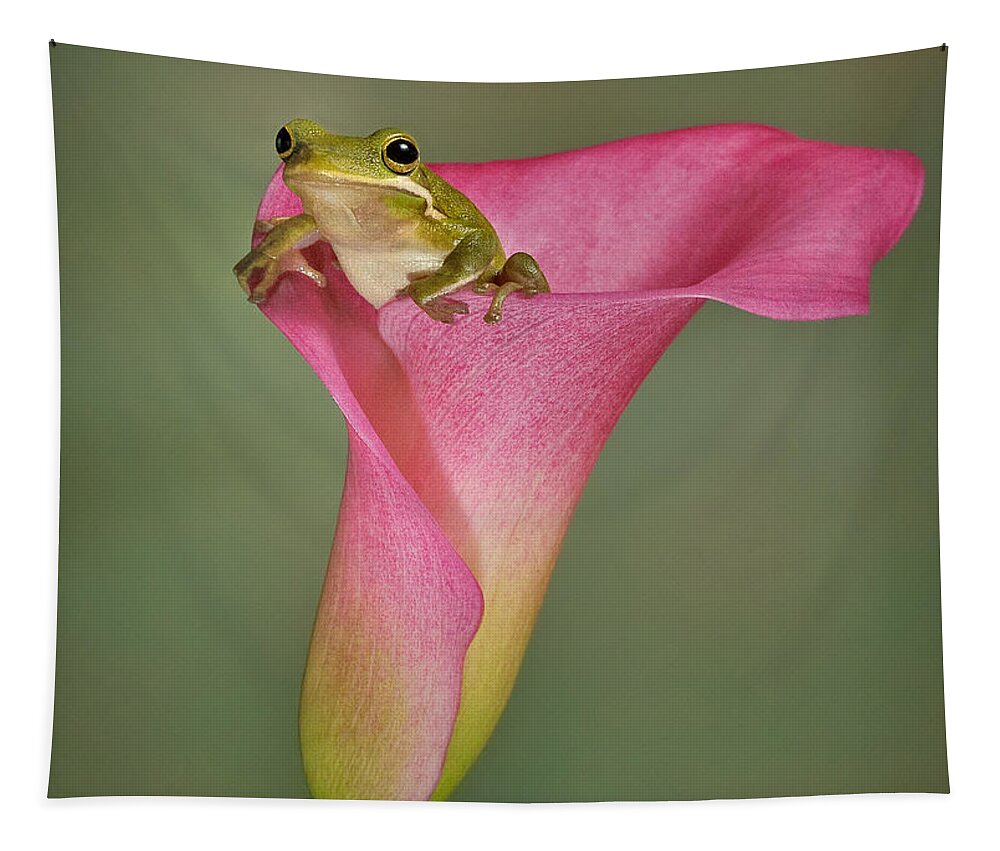 Calla Tapestry featuring the photograph Kermit Peeking Out by Susan Candelario