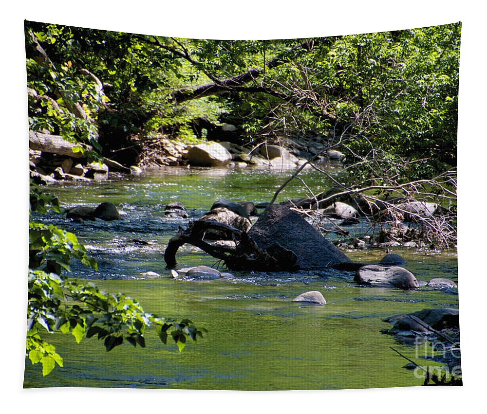 Seneca Keuka Trail Tapestry featuring the photograph Keuka Seneca Outlet Trail by William Norton