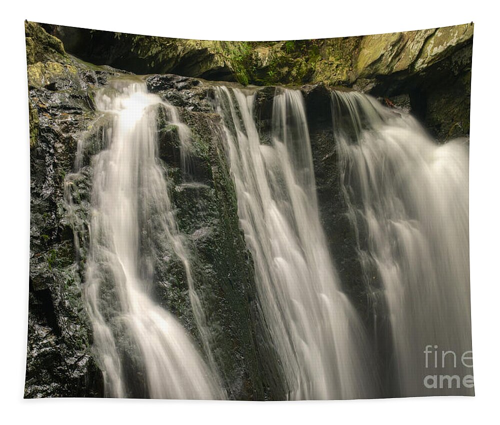 Kilgore Falls Tapestry featuring the photograph Kilgore Falls by Mark Dodd