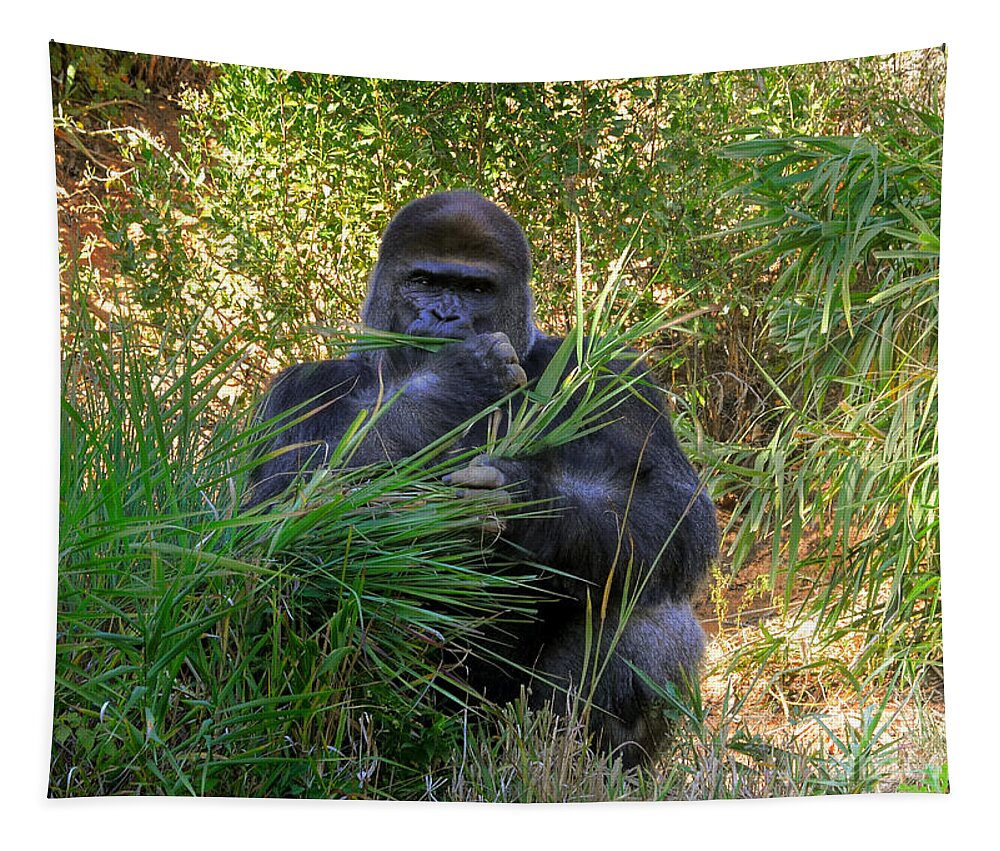 Gorilla Tapestry featuring the photograph King Of The Mountain by Kathy Baccari