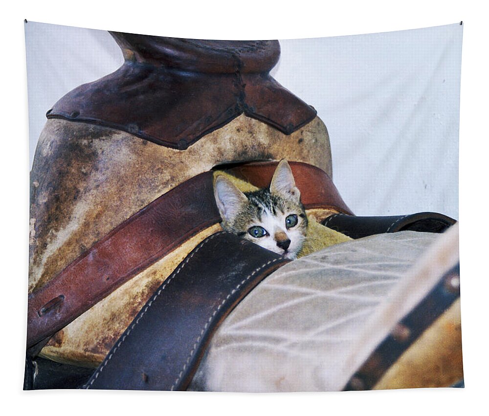 Cat Tapestry featuring the photograph Kitty in the Saddle by Kae Cheatham