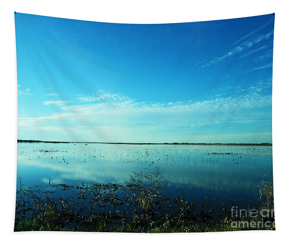 Refuge Tapestry featuring the photograph Lacassine NWR Pool Blue and Green by Lizi Beard-Ward