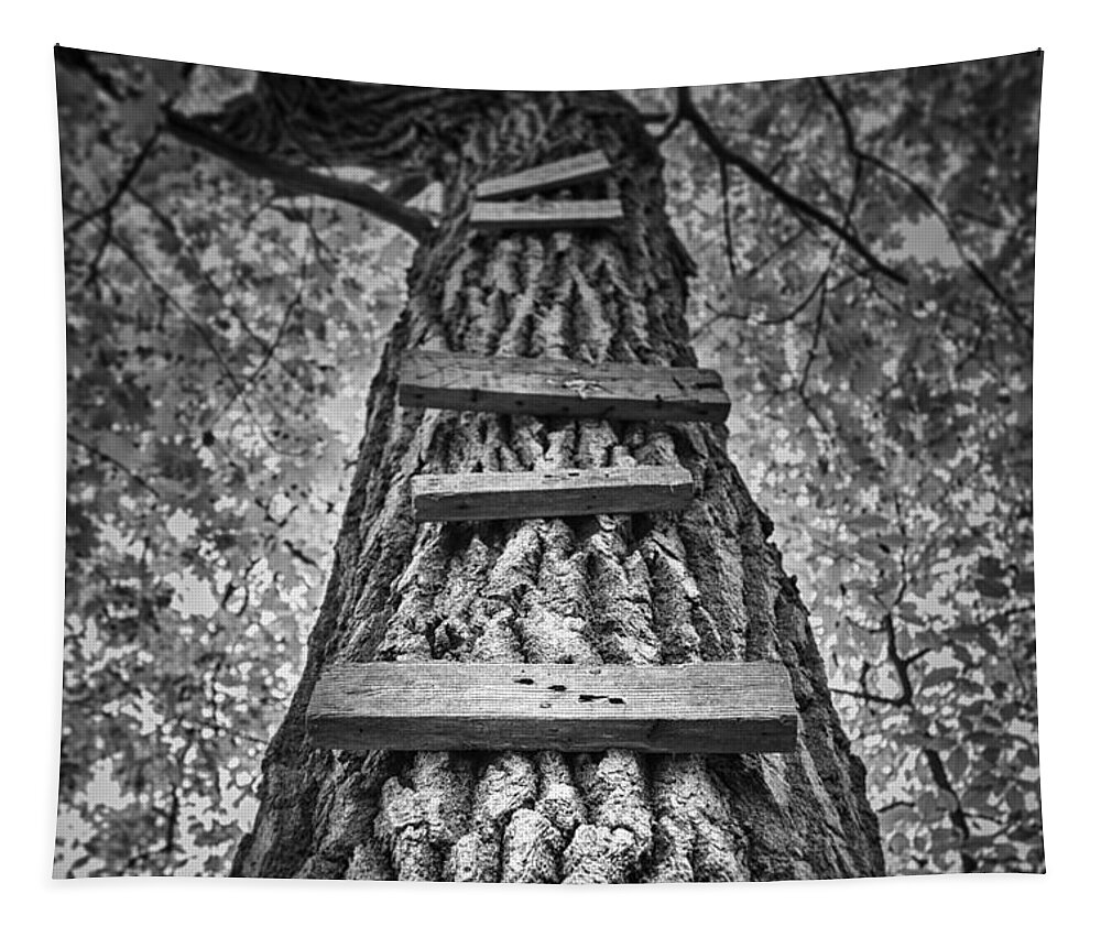 Tree Tapestry featuring the photograph Ladder to the Treehouse by Scott Norris