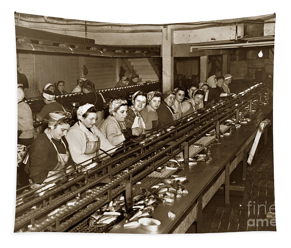 Ladies Packing Sardines Tapestry featuring the photograph Ladies packing Sardines in one pound oval cans in one of the over 20 Cannery's Circa 1948 by Monterey County Historical Society