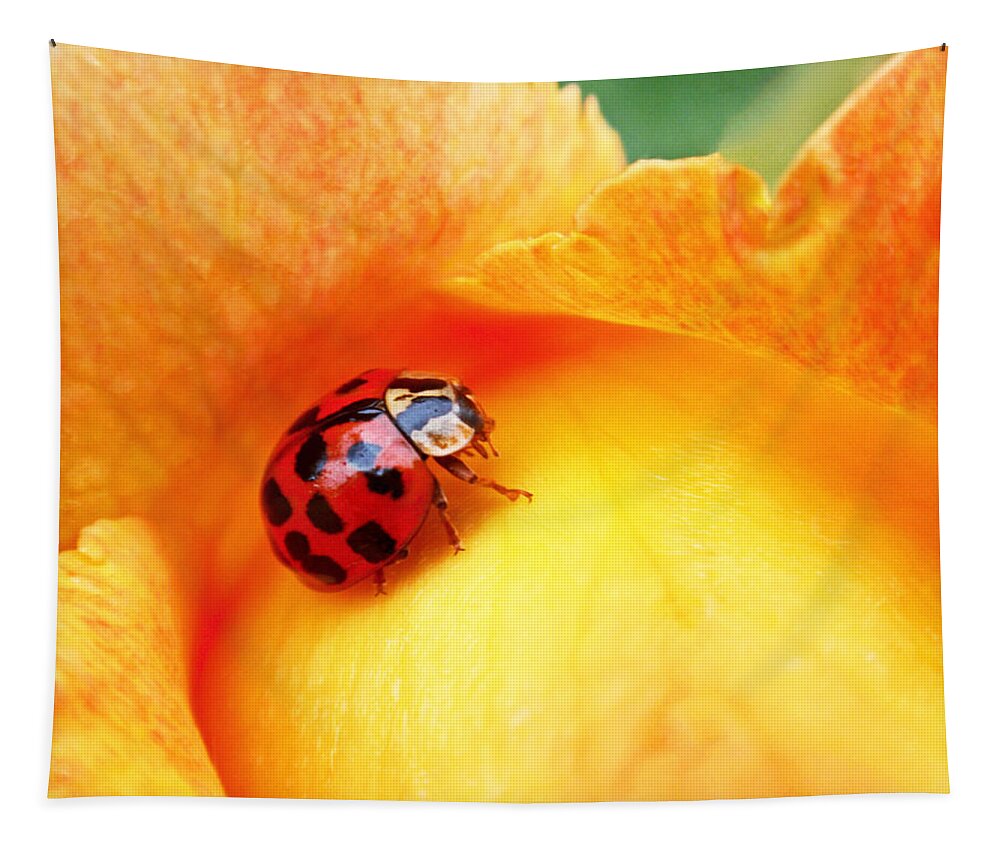 Ladybug Tapestry featuring the photograph Ladybug by Rona Black