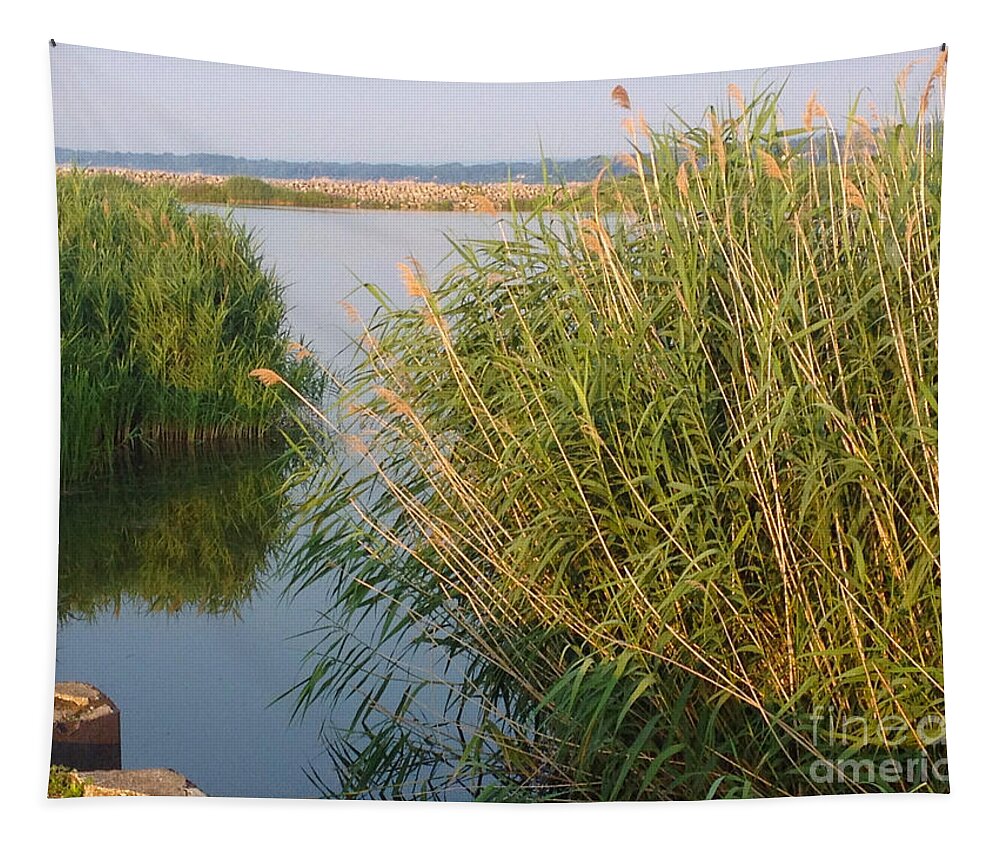 Water Grasses Tapestry featuring the photograph Lake Erie Grasses by Anne Cameron Cutri