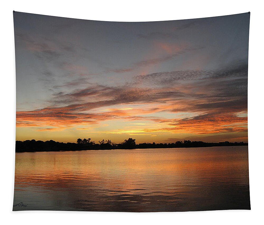 Palozzi Tapestry featuring the digital art Lake Osborne Sunset by John Vincent Palozzi