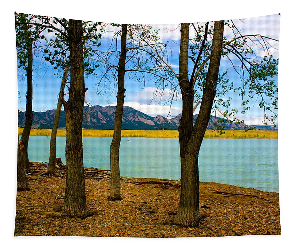 Lake Scene Tapestry featuring the photograph Lake Through The Trees by Juli Ellen