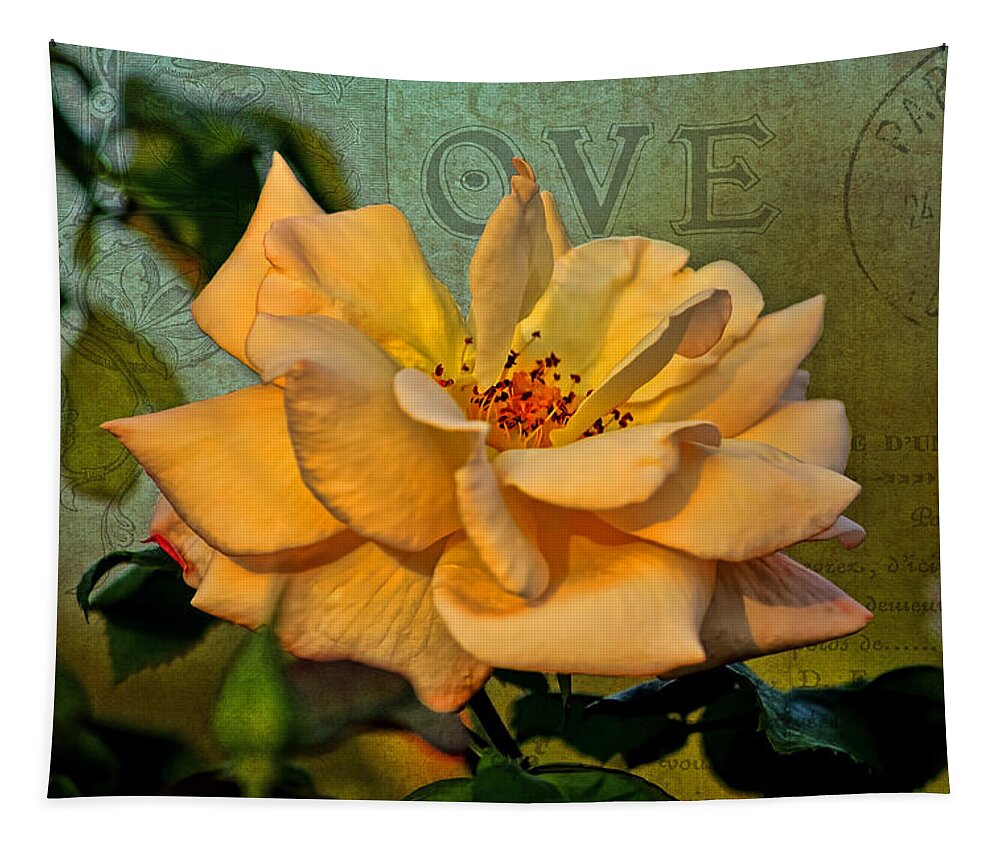 Flower Tapestry featuring the photograph Language of The Heart - Rose by HH Photography of Florida