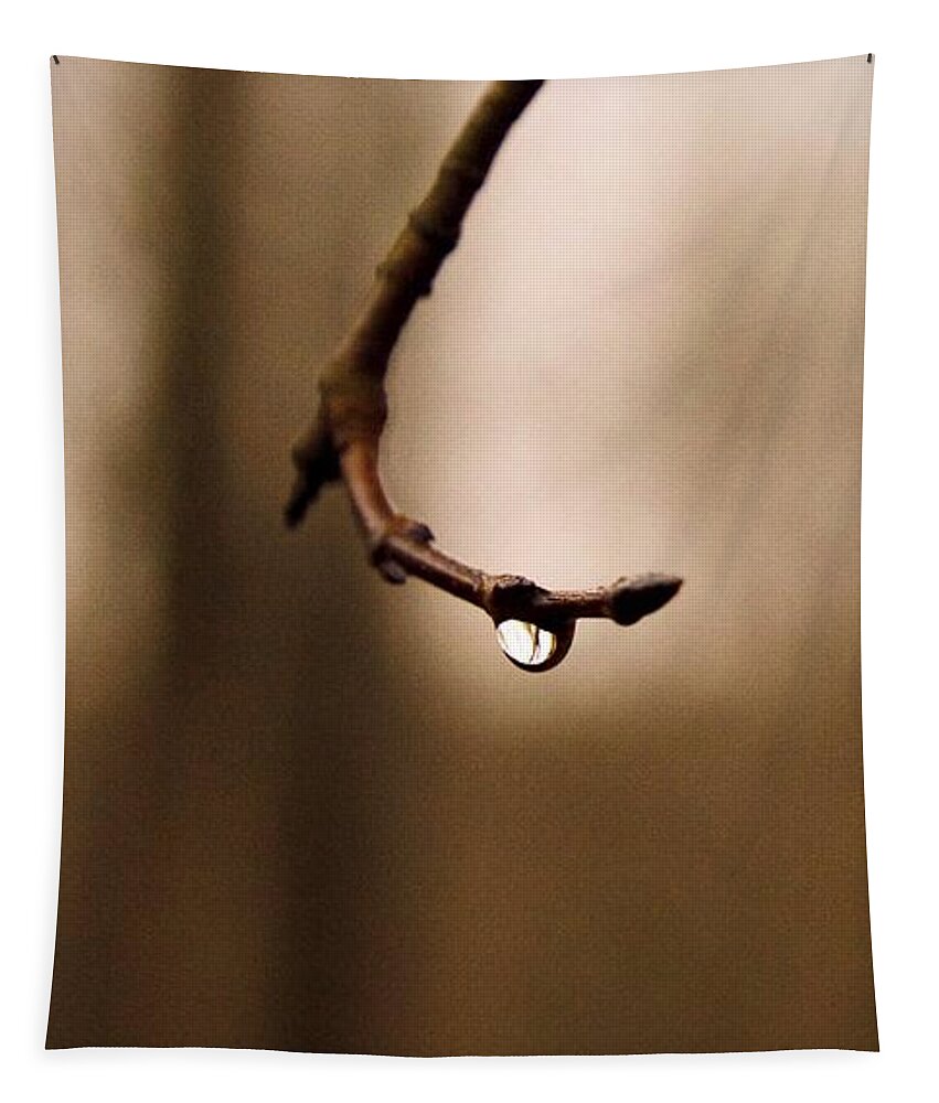 Last Drop Tapestry featuring the photograph Last drop by Photographic Arts And Design Studio