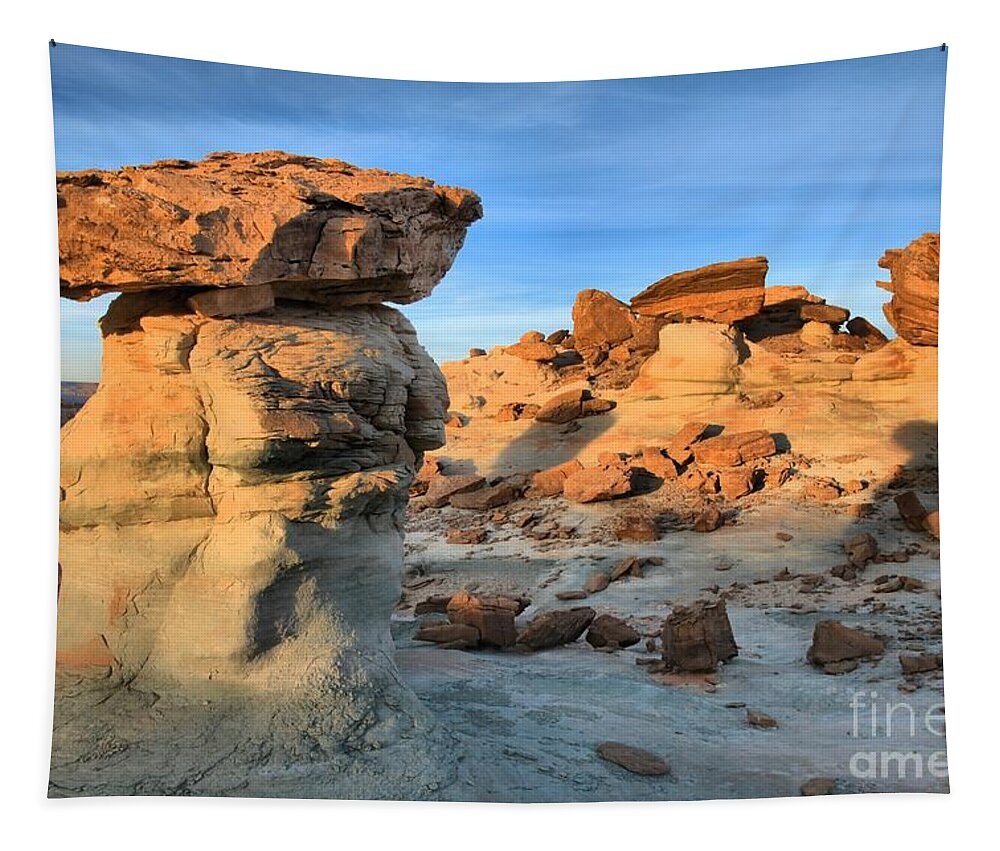 Stud Horse Point Tapestry featuring the photograph Last Light At Stud Horse by Adam Jewell