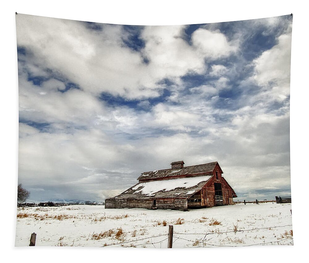 Barn Tapestry featuring the photograph Last Snow Barn by Mary Jo Allen