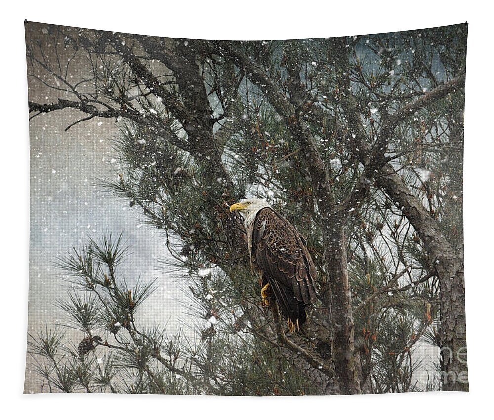 Usa Tapestry featuring the photograph Last Winter Blast by Jai Johnson
