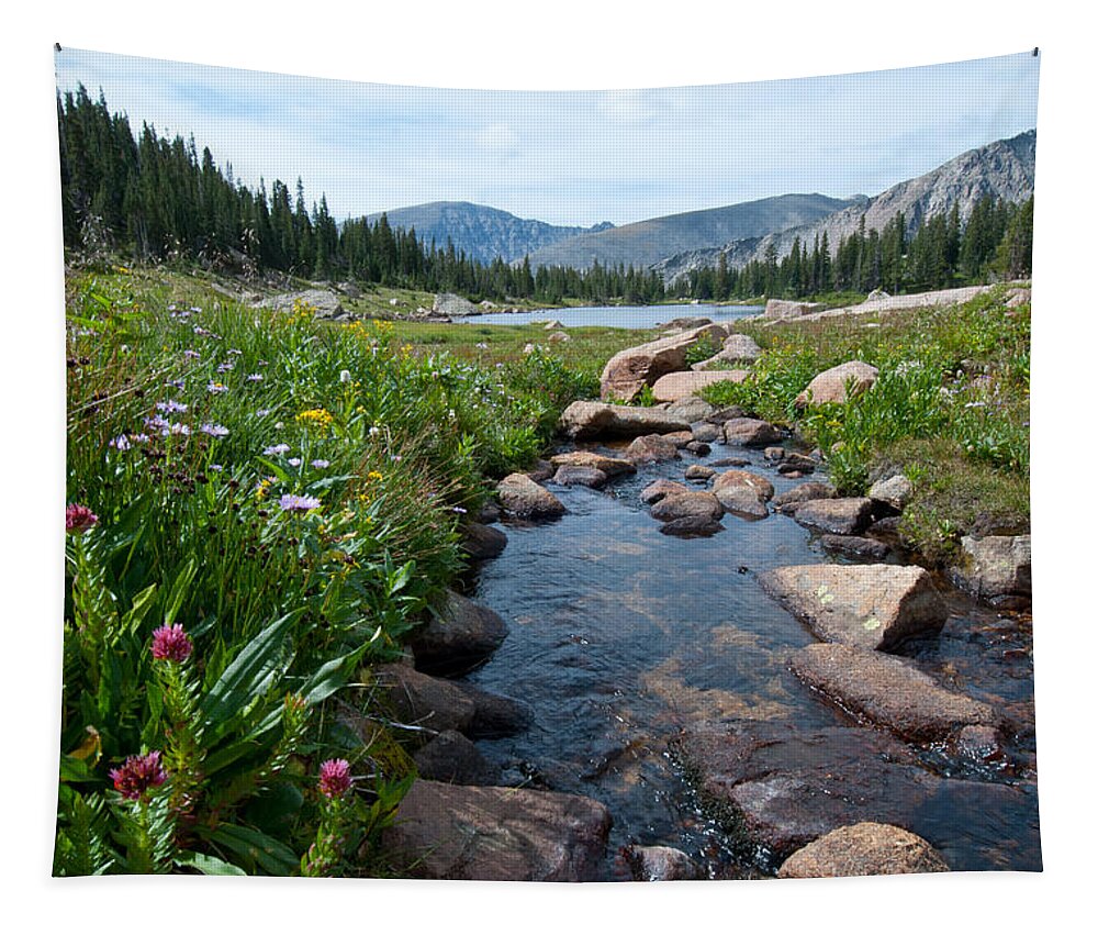 Summer Tapestry featuring the photograph Late Summer Mountain Landscape by Cascade Colors