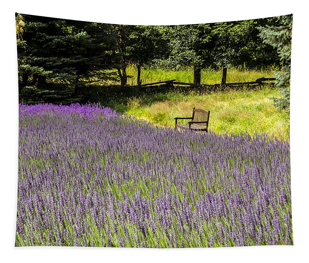 Lavender Tapestry featuring the photograph Lavender Rest by Kathy Bassett