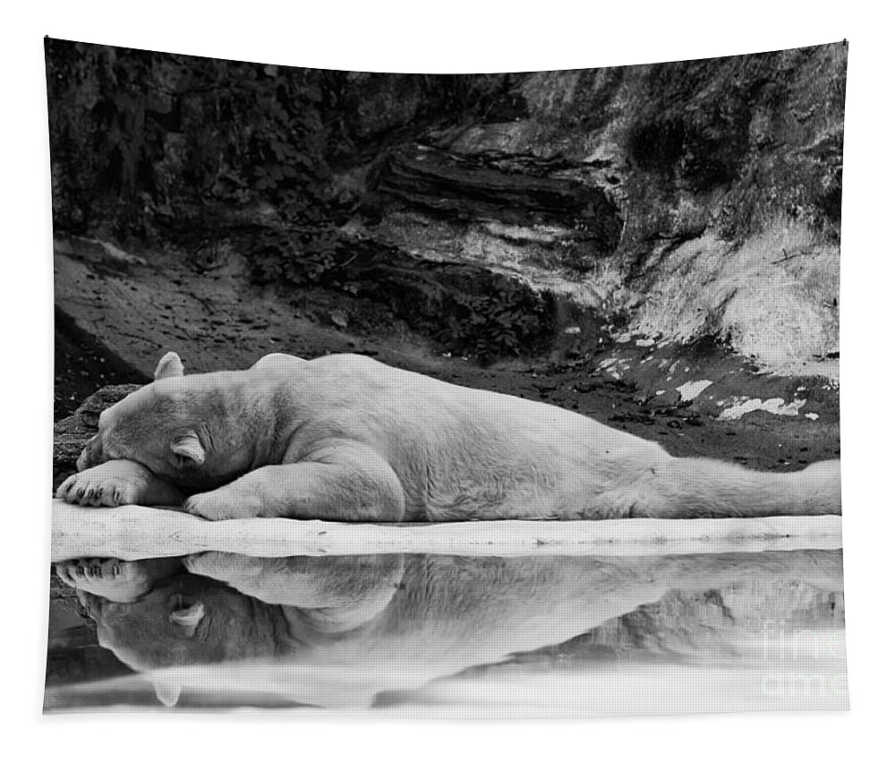 Bronx Zoo Tapestry featuring the photograph Lazy Days by Rick Kuperberg Sr