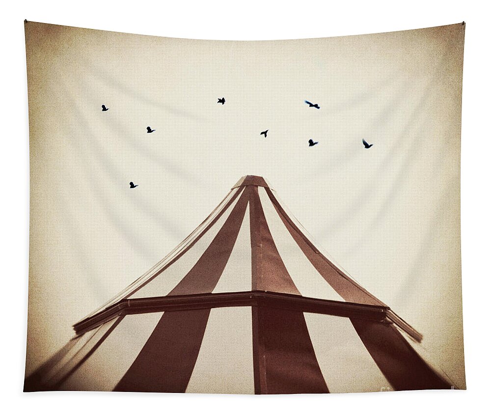 Birds Tapestry featuring the photograph Le Carnivale by Trish Mistric