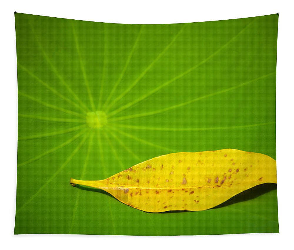 Leaf Tapestry featuring the photograph Leaf by Chevy Fleet