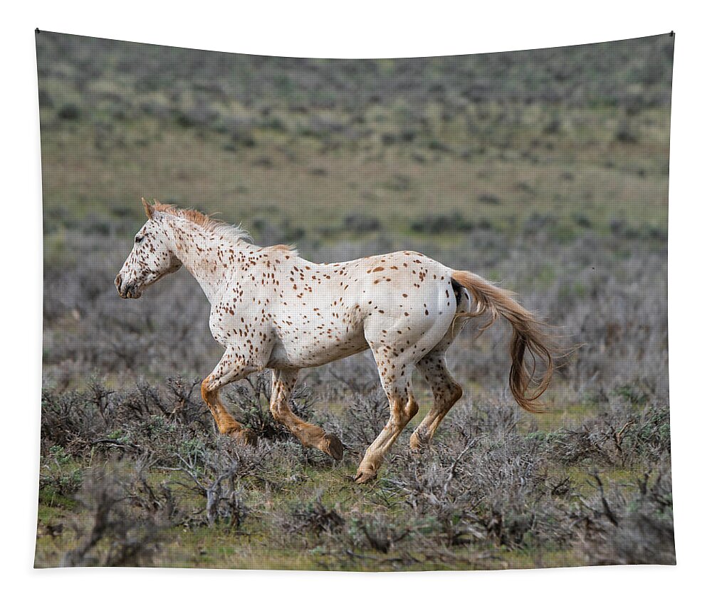Horse Tapestry featuring the photograph Leopard Appaloosa Horse by Michael Lustbader
