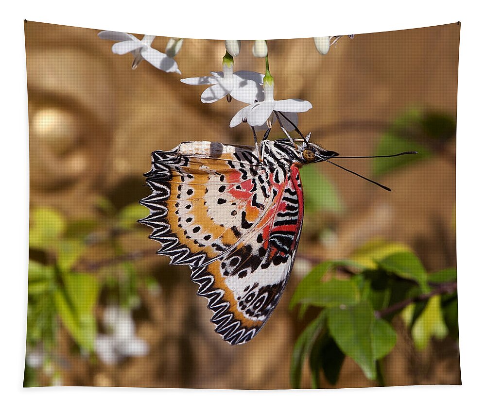 Scenic Tapestry featuring the photograph Leopard Lacewing Butterfly DTHU619 by Gerry Gantt