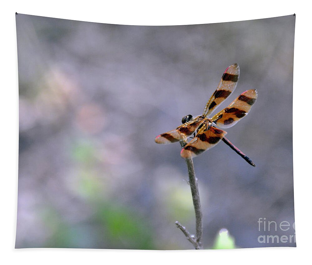 Dragonfly Tapestry featuring the photograph Leopard Print by Cheryl McClure