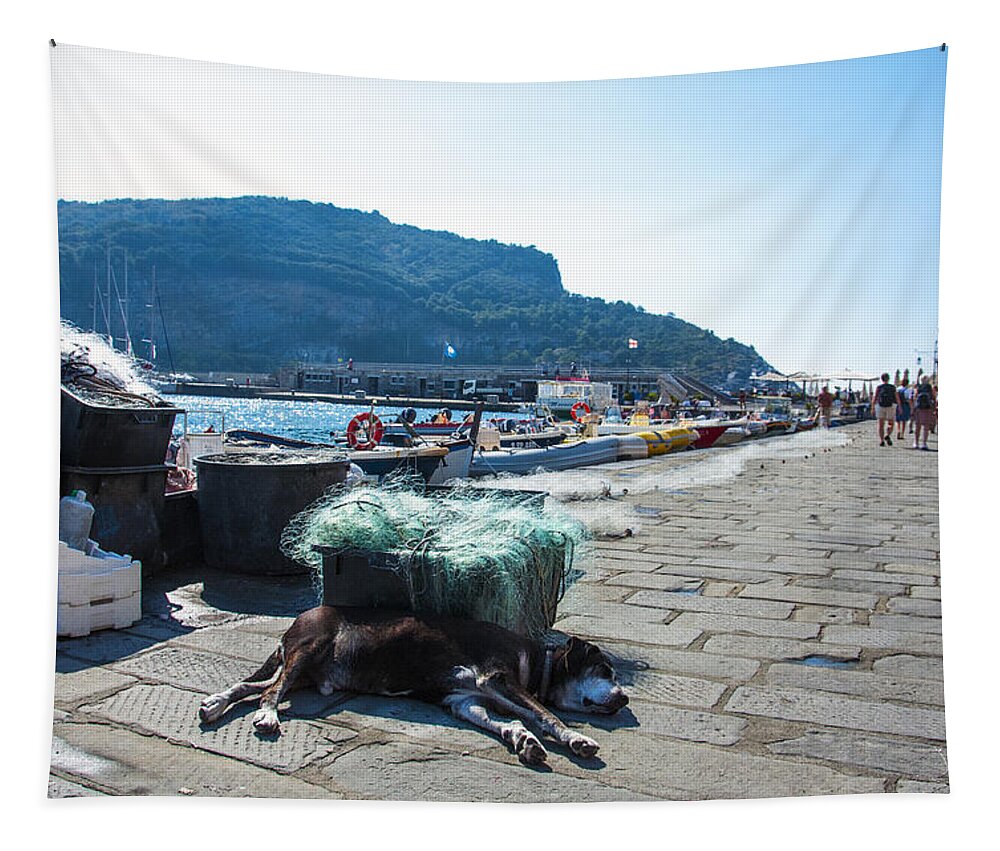 Europe Tapestry featuring the photograph Let Sleeping Dogs Lie by Matt Swinden