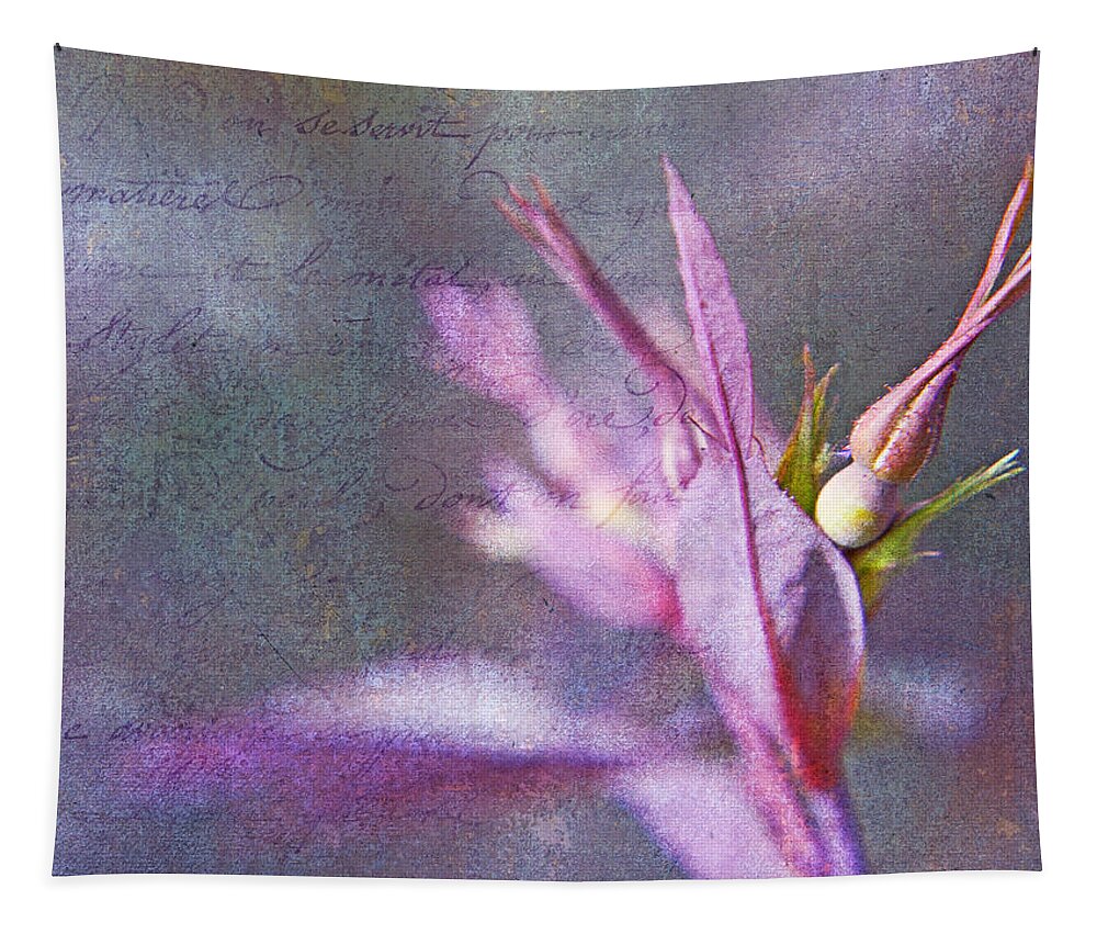 Shabby Chic Tapestry featuring the photograph Lettres D'amour by Theresa Tahara
