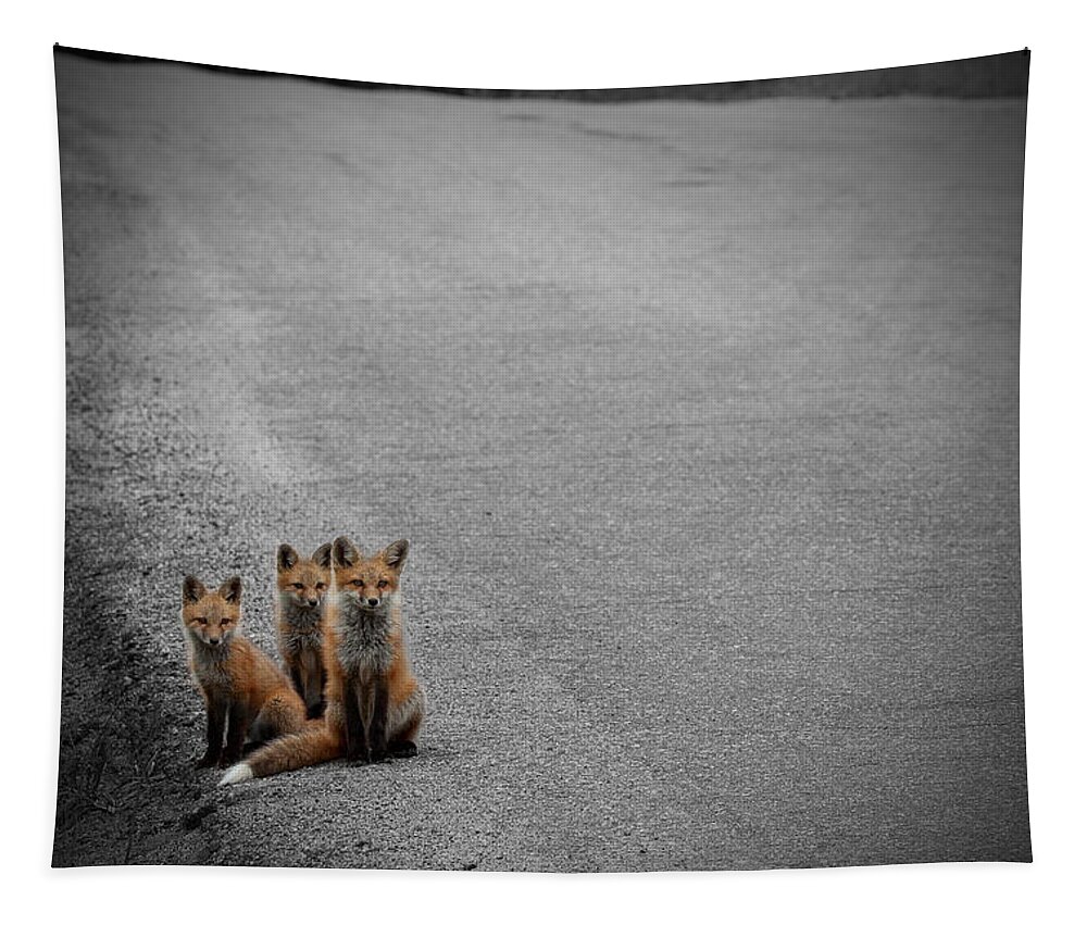 Fox Tapestry featuring the photograph Life is an Unknown Highway by Jim Garrison