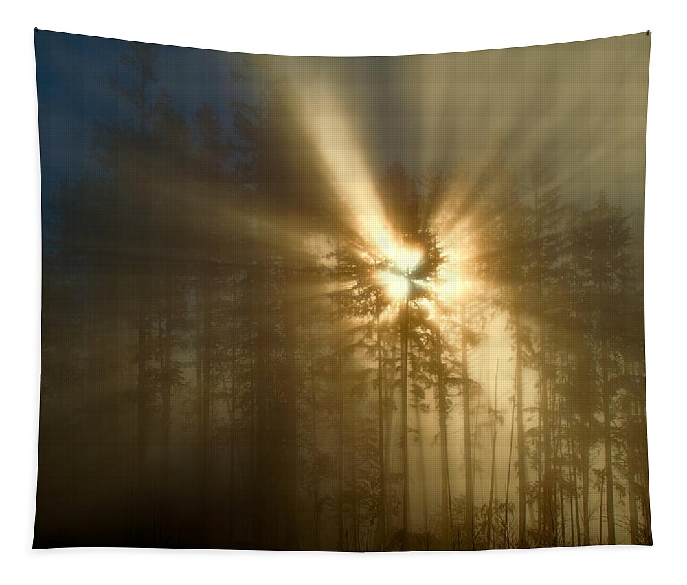 Sun Tapestry featuring the photograph Lifeforce by Peggy Collins