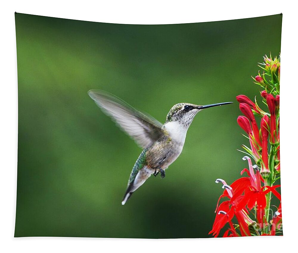 Bird Tapestry featuring the photograph Lifes Little Pleasure by Judy Wolinsky