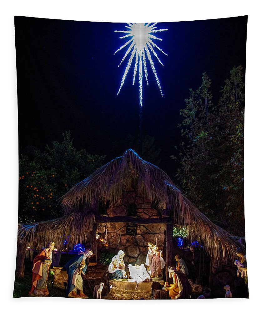 Stable Tapestry featuring the photograph Light of the Stable by Will Wagner