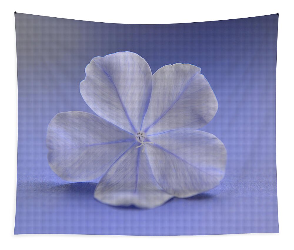 Flower Tapestry featuring the photograph Lightness by Melanie Moraga