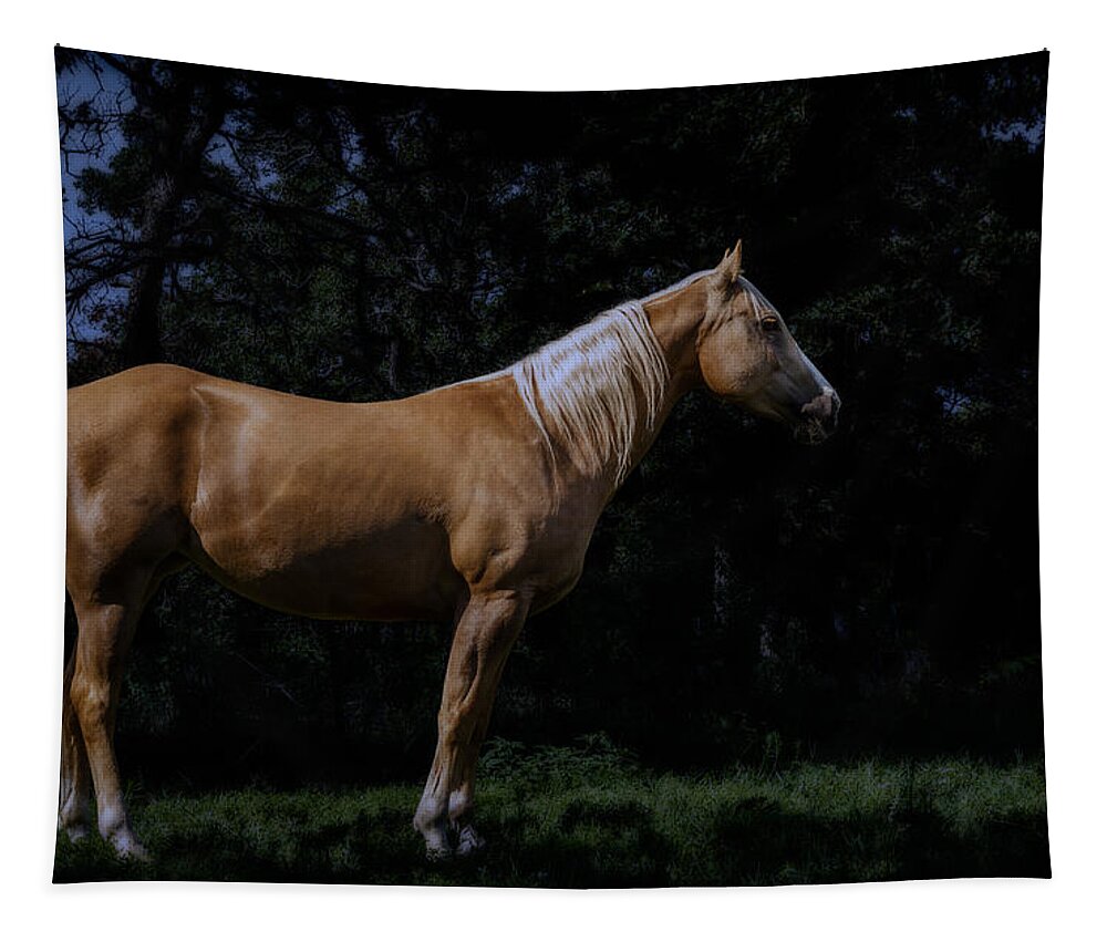 Palomino Tapestry featuring the photograph Like Moonlight on a Wire by Doug Long