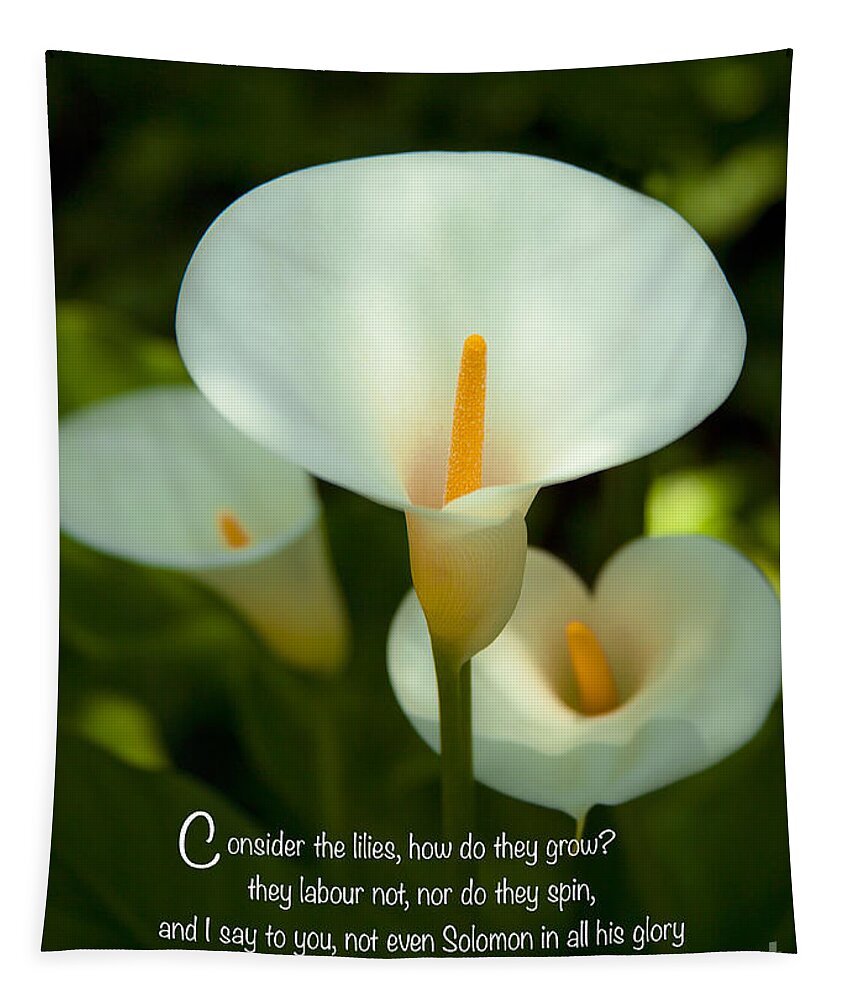 Lilly Flower Photographs Tapestry featuring the photograph Lilies How They Grow Bible Verse Photography Prints And Greeting Cards by Jerry Cowart