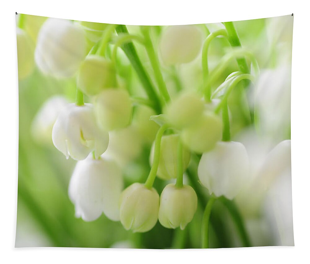 Lily Of The Valley Tapestry featuring the photograph Lilies of the Valley. Macro by Jenny Rainbow