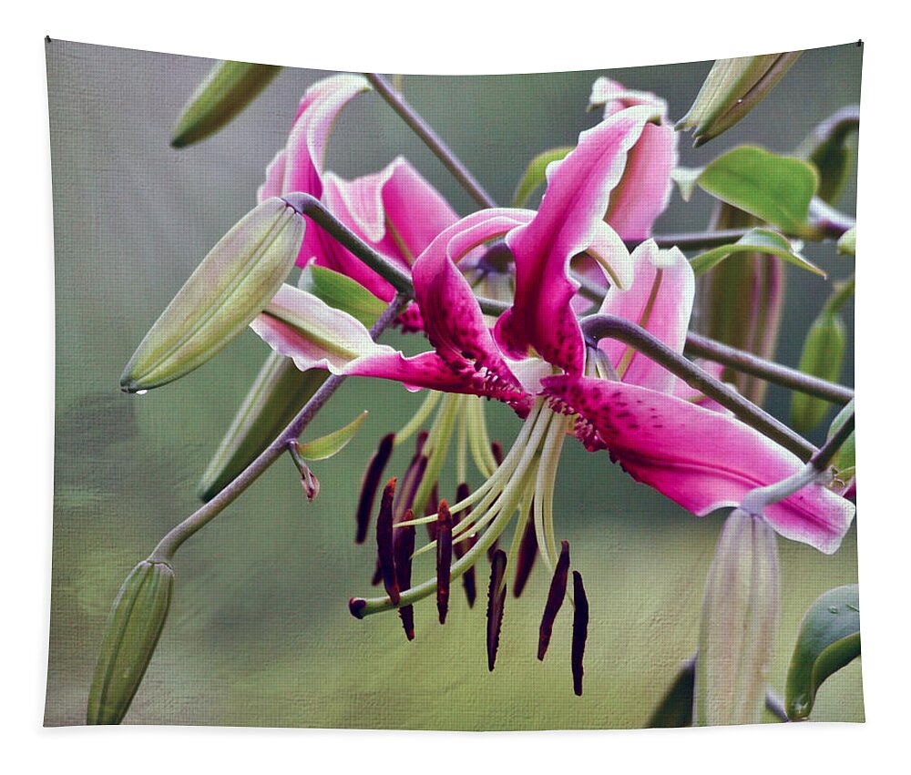 Flower Tapestry featuring the photograph Lily in the Pink by Kerri Farley