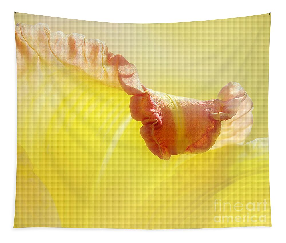 Yellow Lily Tapestry featuring the photograph Lily With The Fringe On Top by Kathi Mirto