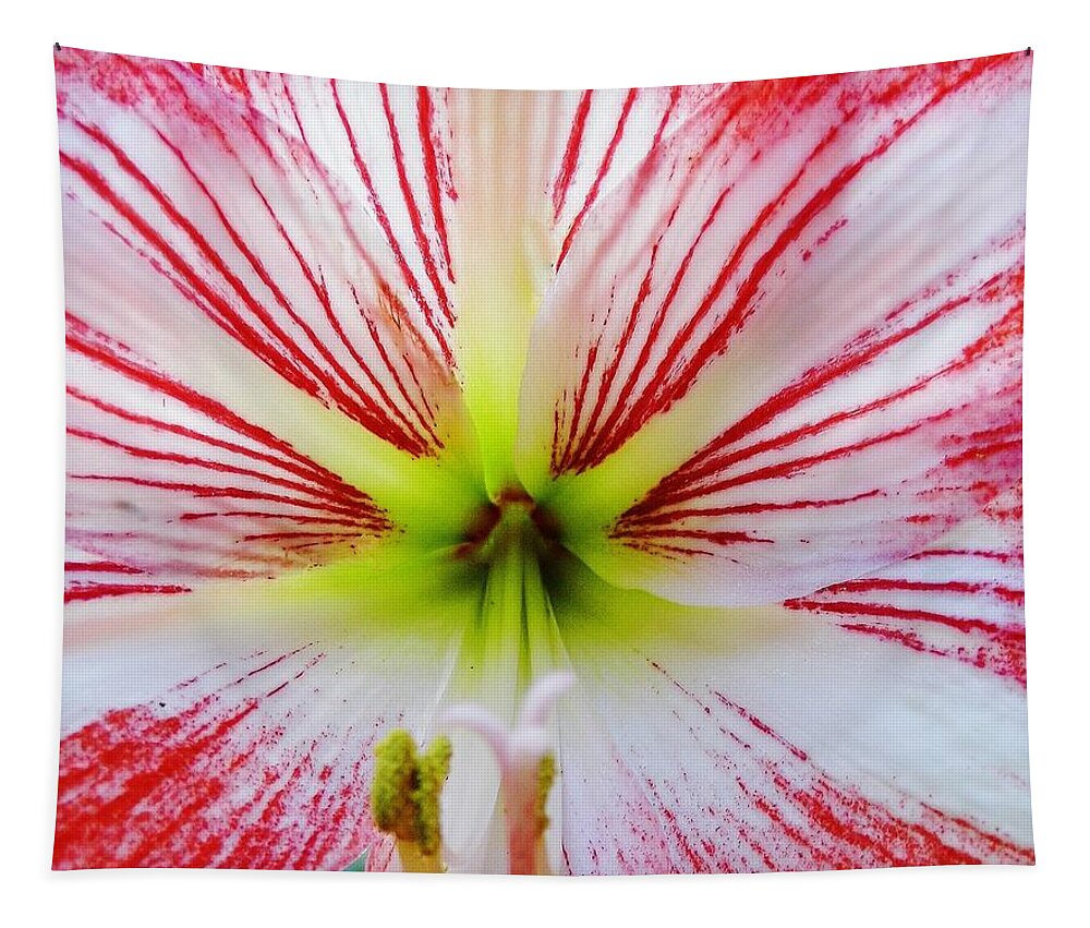 Bestseller Tapestry featuring the photograph Lily Wow by D Hackett