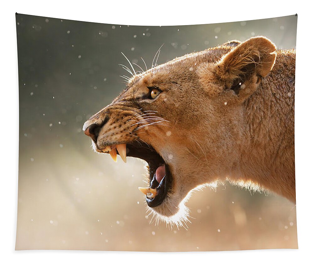#faatoppicks Tapestry featuring the photograph Lioness displaying dangerous teeth in a rainstorm by Johan Swanepoel