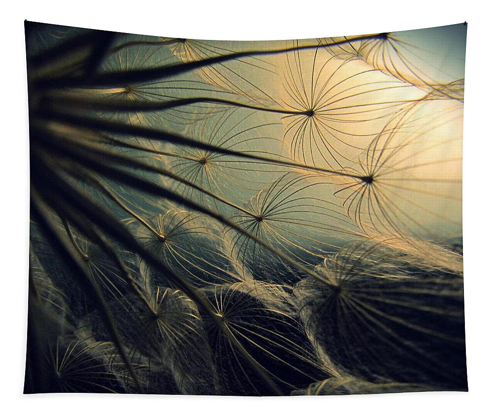 Dandelion Tapestry featuring the photograph Lit Up Wishes by Marianna Mills