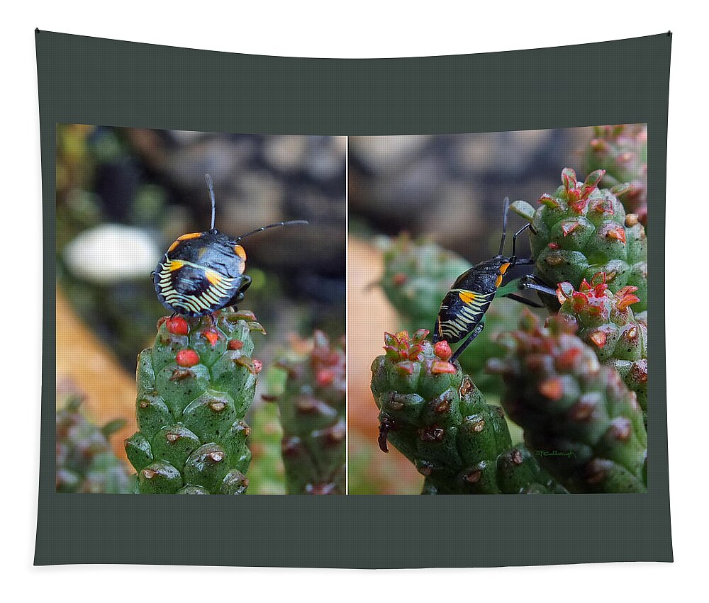 Duane Mccullough Tapestry featuring the photograph Little Beetle on Succulent Plant by Duane McCullough