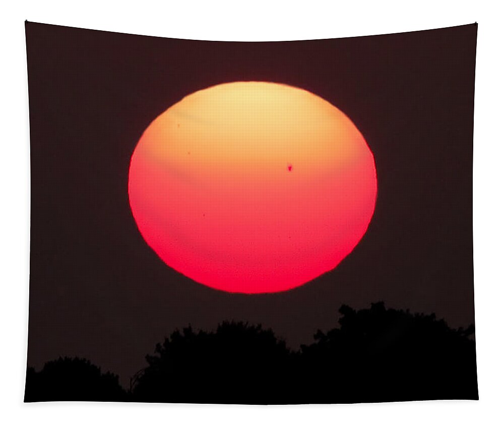 Us United States Usa Tapestry featuring the photograph Little black spot on the sun today by Sylvia J Zarco