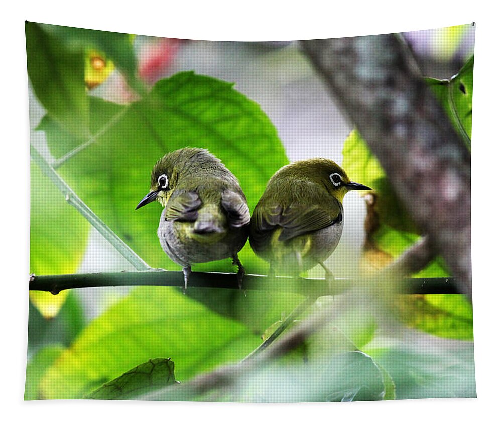 Birds Tapestry featuring the photograph Little twins by Lily K