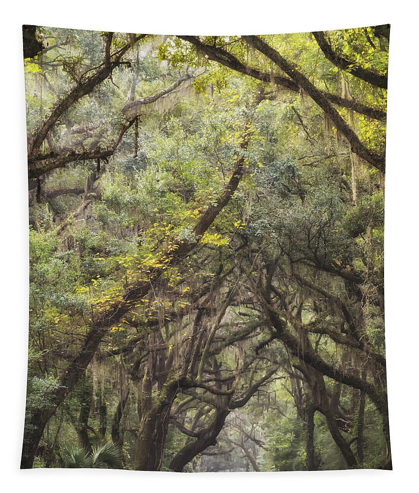 Green Tapestry featuring the photograph Live Oak Archway Verticle 1 by Jo Ann Tomaselli