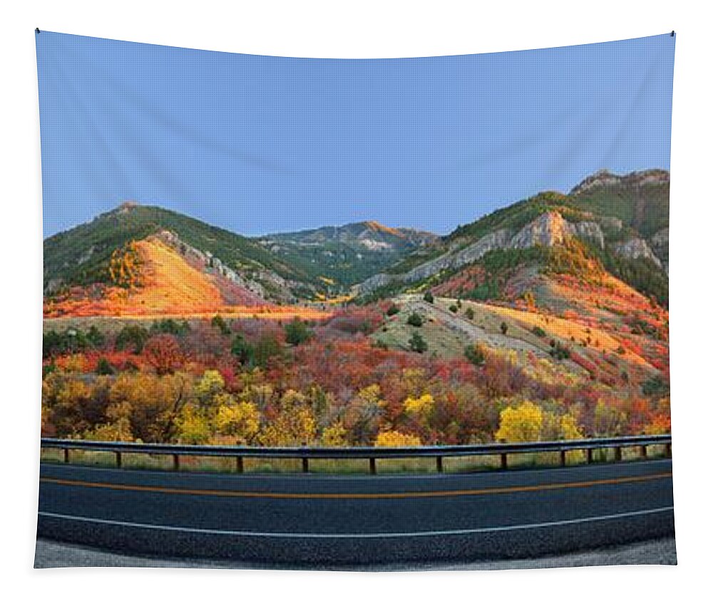 Trees Tapestry featuring the photograph Logan Canyon by David Andersen