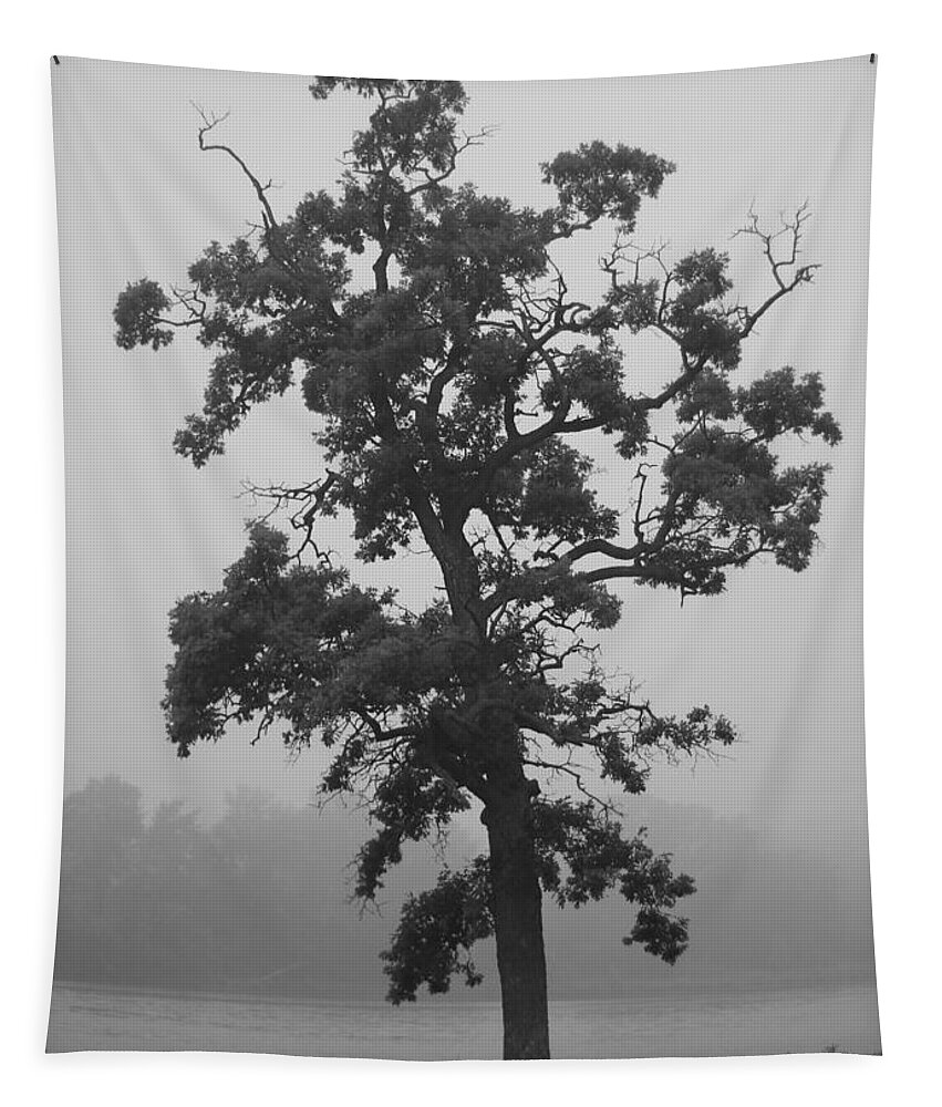 Oak Tapestry featuring the photograph Lone Oak by Viviana Nadowski