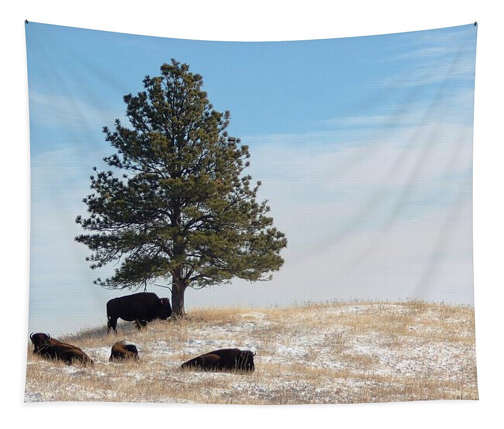 Dakota Tapestry featuring the photograph Lone Pine by Greni Graph