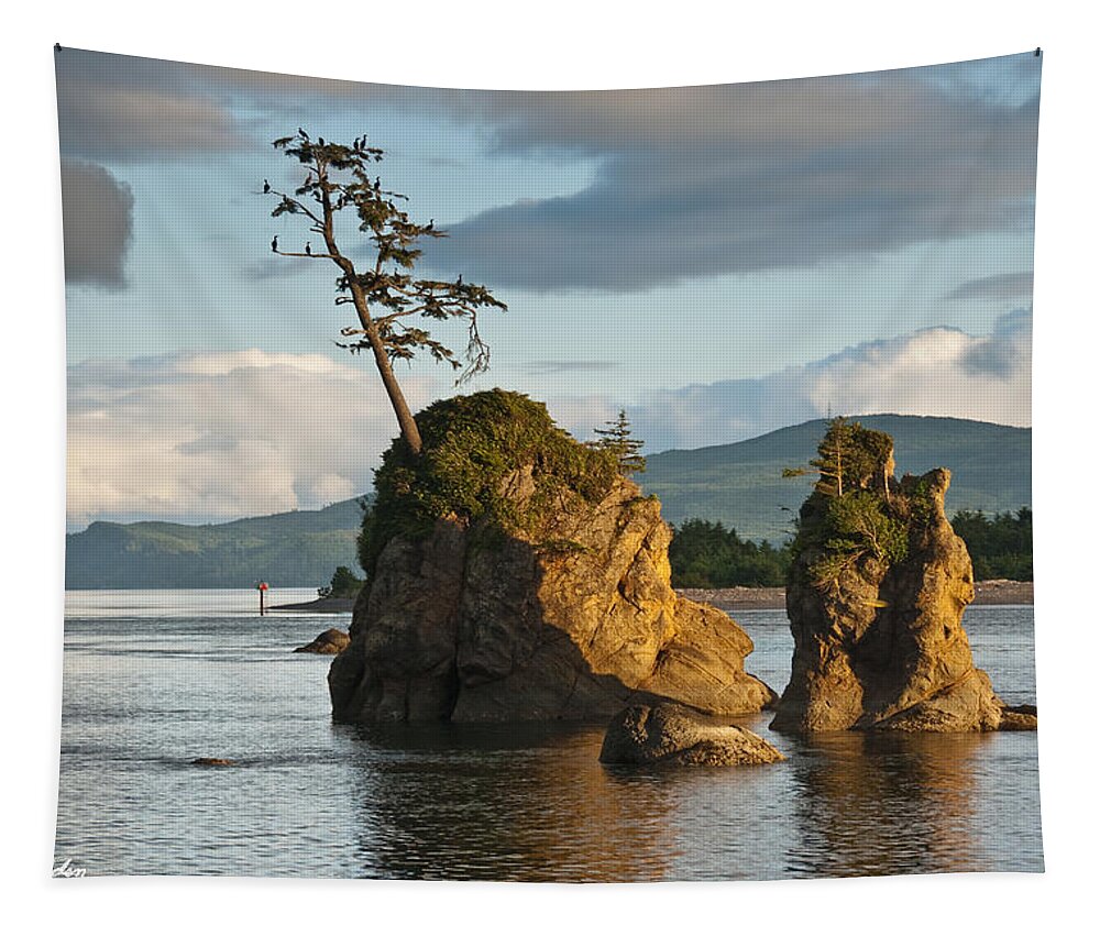 Bay Tapestry featuring the photograph Lone Tree on a Rock at Sunset by Jeff Goulden